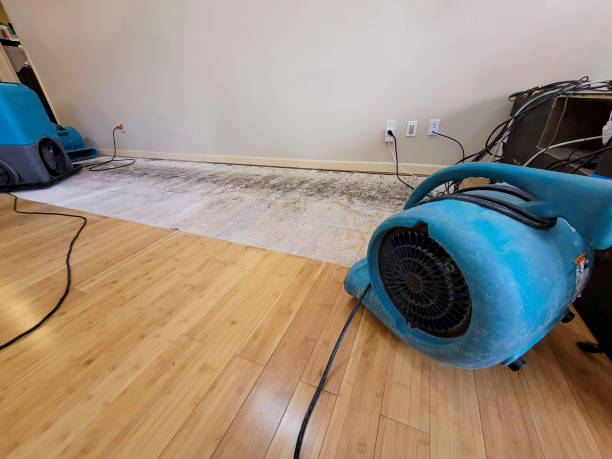 Professional Water Damage Repair technician working in Wynantskill, NY